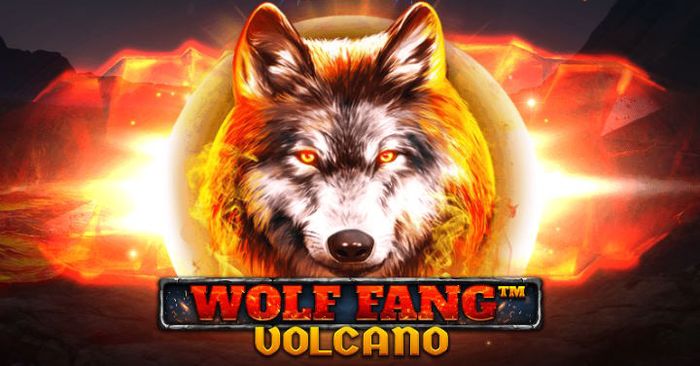 100 wolves casino game