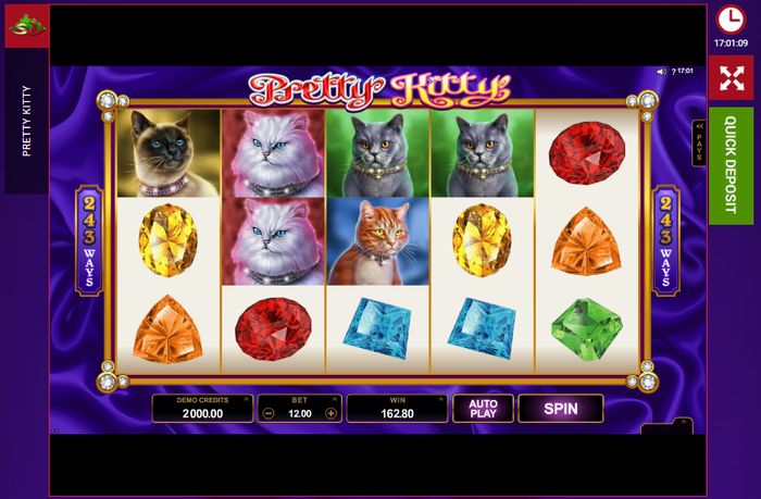 Игровое поле слота Pretty Kitty от Microgaming