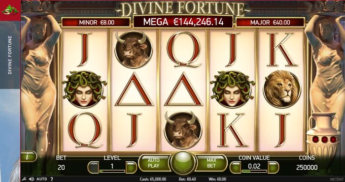 Внешний вид игрового поля автомата Divine Fortune