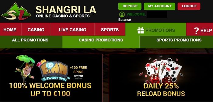 Bonus System of the casino